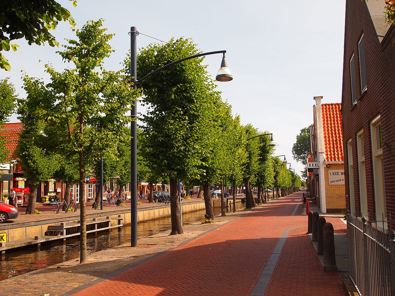 Bomen en straat aan de luts