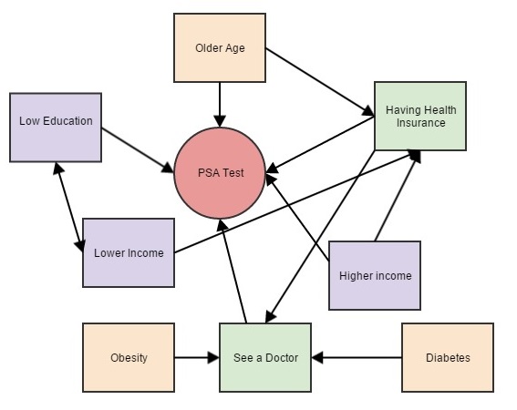 This is an example of a causal diagram also known as a web o