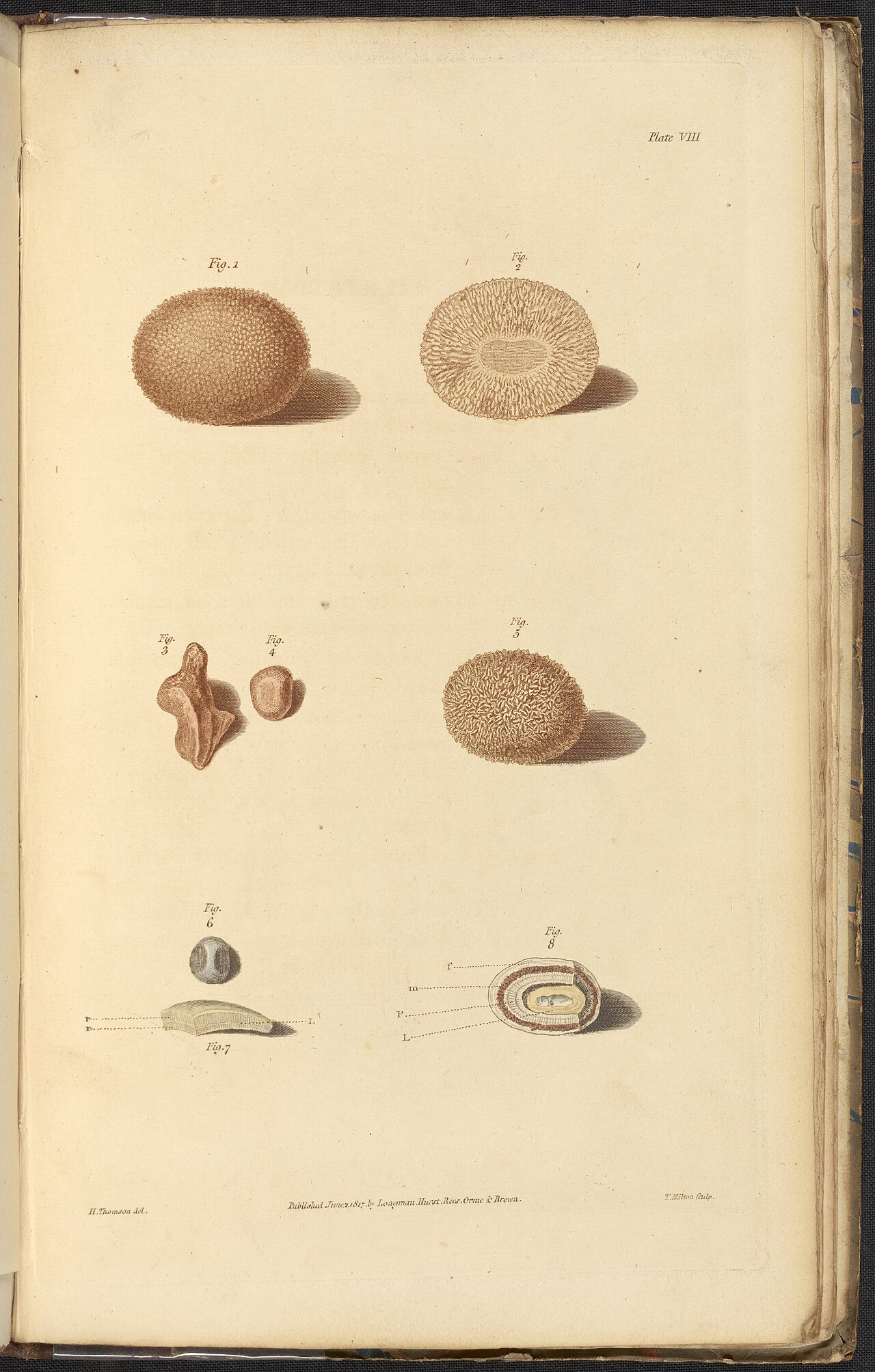 Alexander marcet 1770 1822 was a genevan physician who speci
