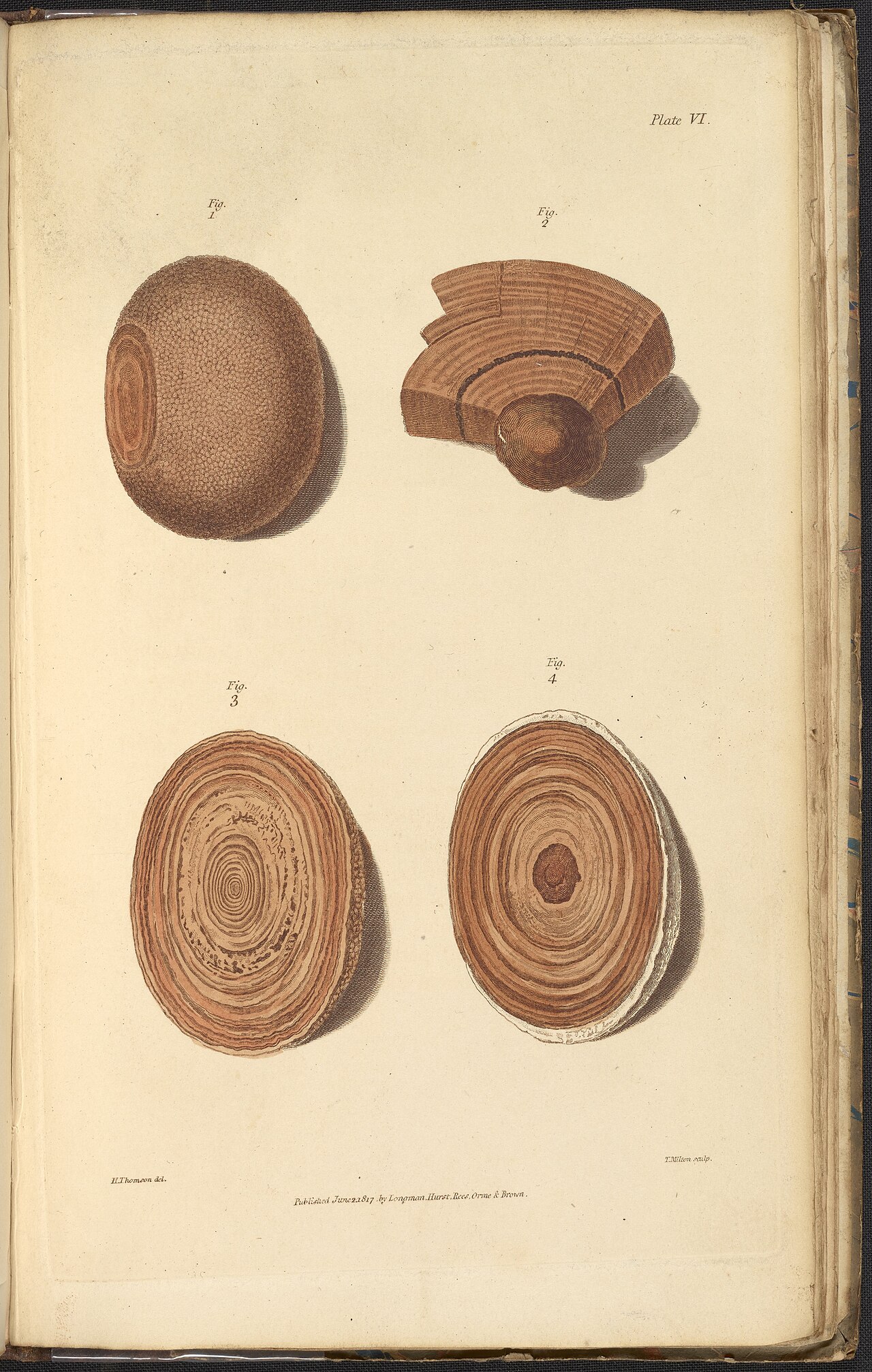 Alexander marcet 1770 1822 was a genevan physician who speci