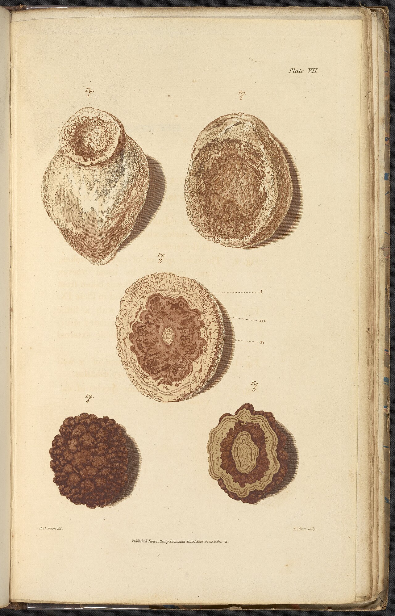 Alexander marcet 1770 1822 was a genevan physician who speci
