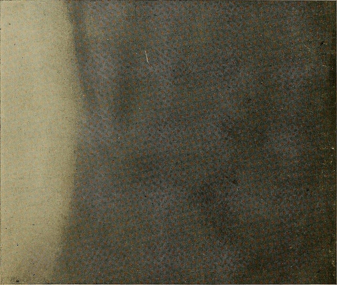 Identifier roentgenraysinme1901will find matches title the r